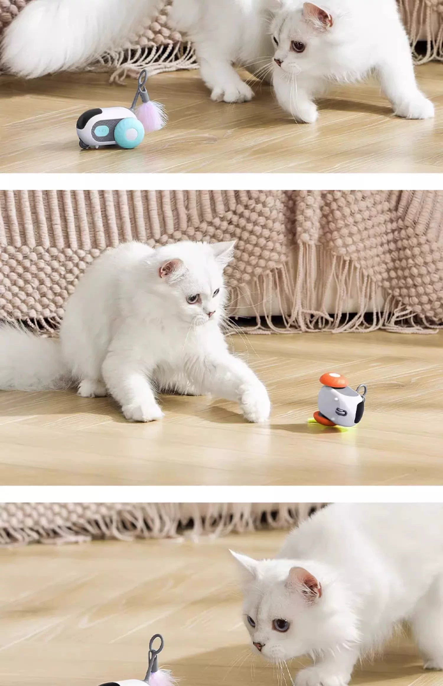 Cat playing with Pet Gravity