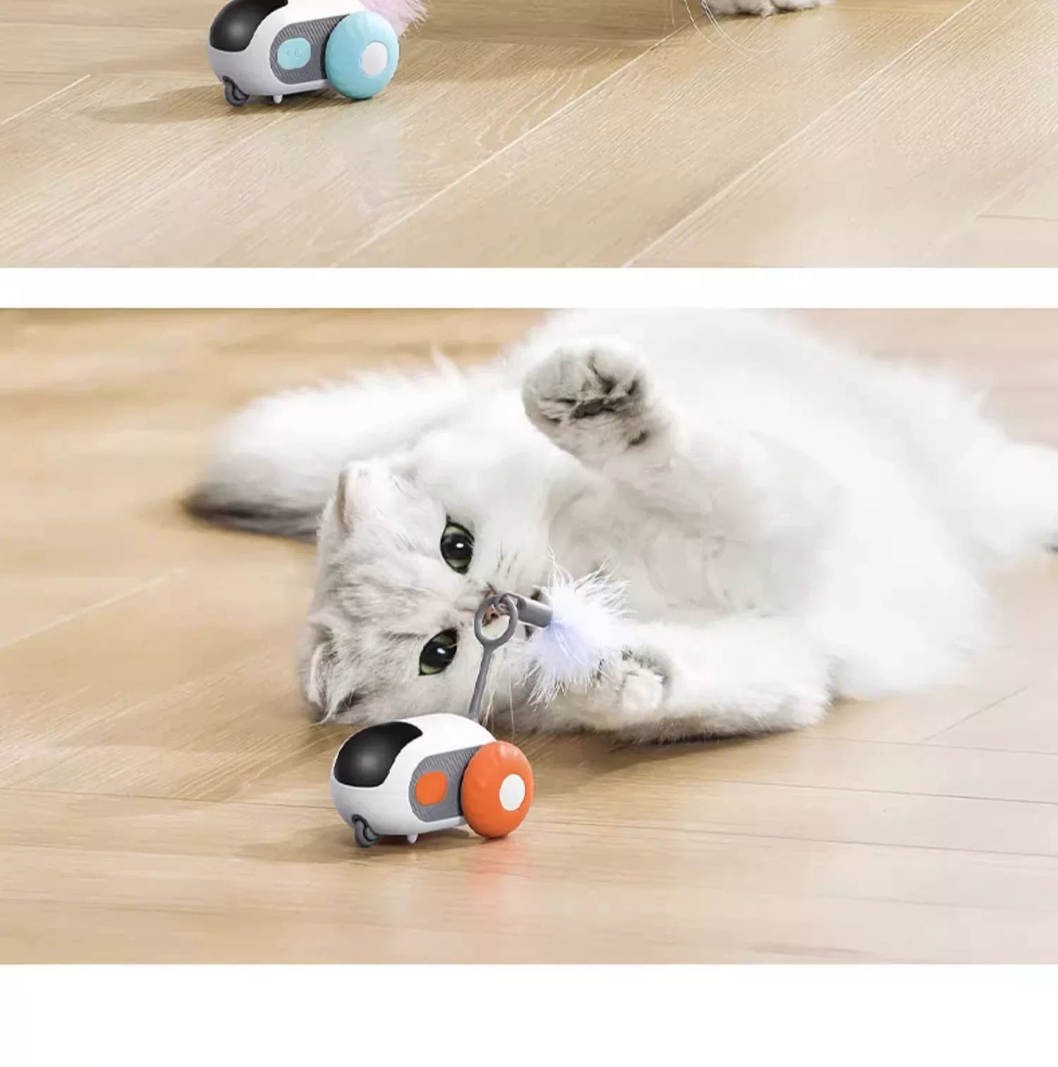 Cat playing with Pet Gravity toy